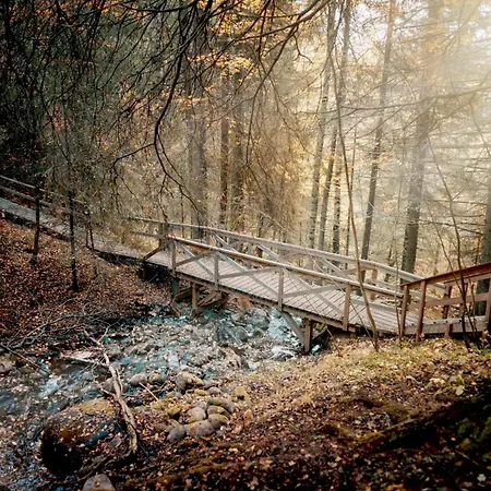 Nature Dream Days منتجع