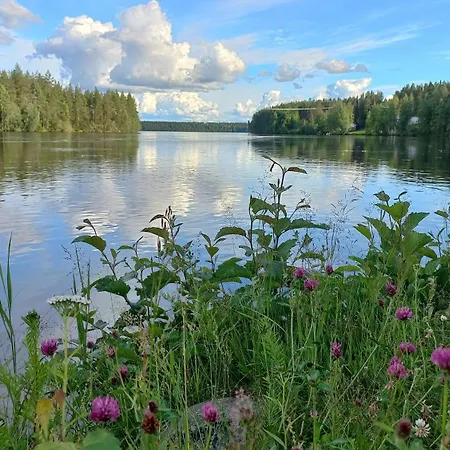 Nature Dream Days *