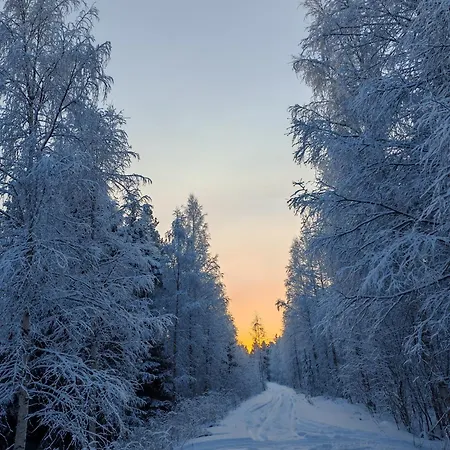 Nature Dream Days * Muhos