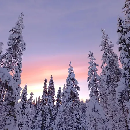 Nature Dream Days * Muhos