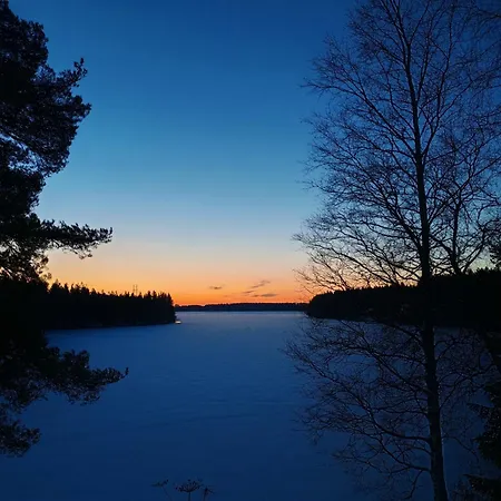 Nature Dream Days *