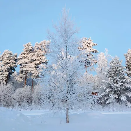 Nature Dream Days