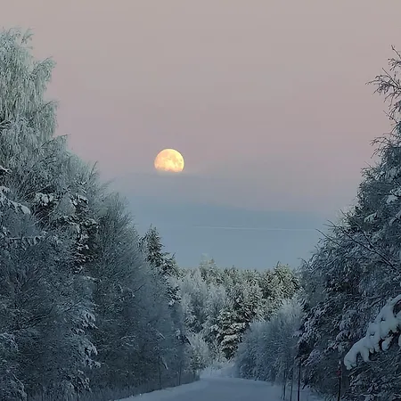 Nature Dream Days *