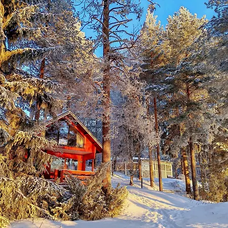 Nature Dream Days *