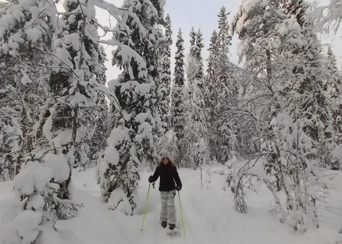 Station touristique Nature Dream Days Muhos