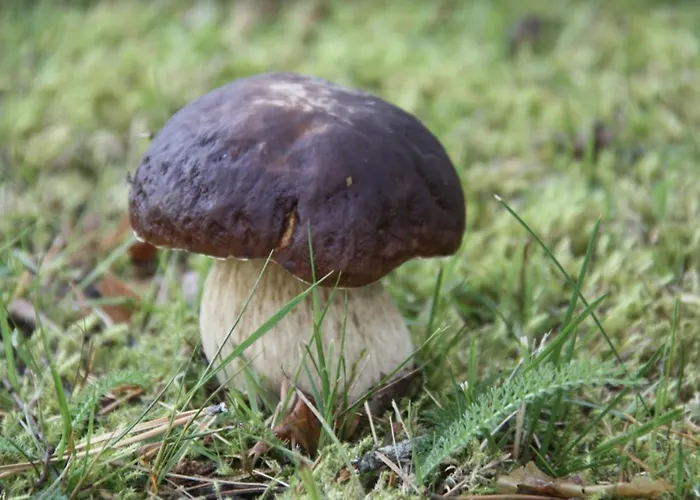 Station touristique Nature Dream Days