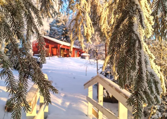 Nature Dream Days Station touristique Muhos