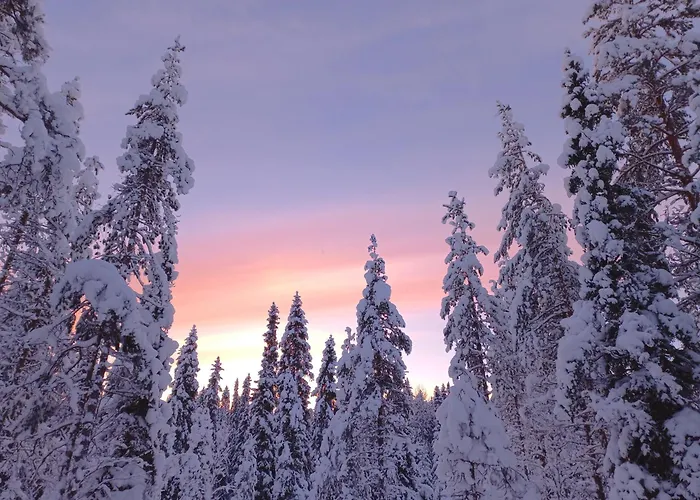 Nature Dream Days * Muhos