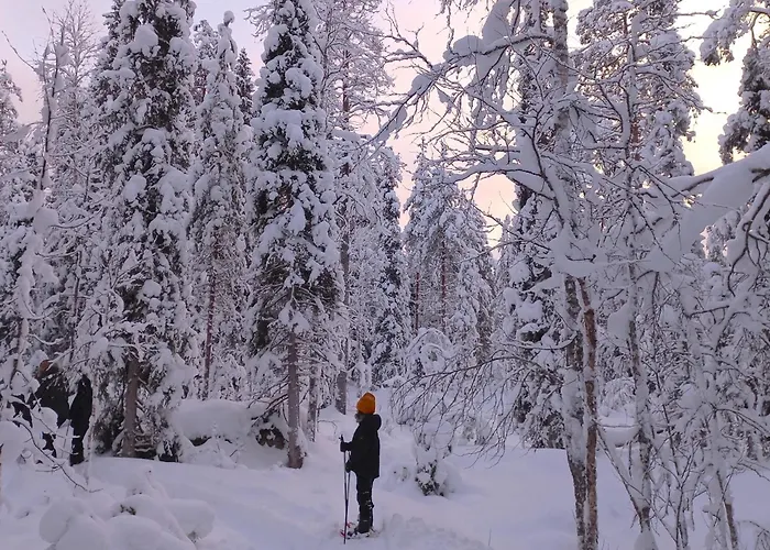 Nature Dream Days Station touristique Muhos