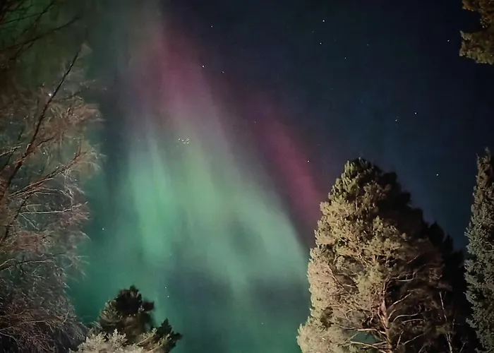 Station touristique Nature Dream Days Muhos